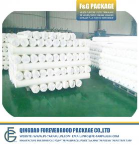 Manufacture PP Woven Fabric Tarpaulin Roll