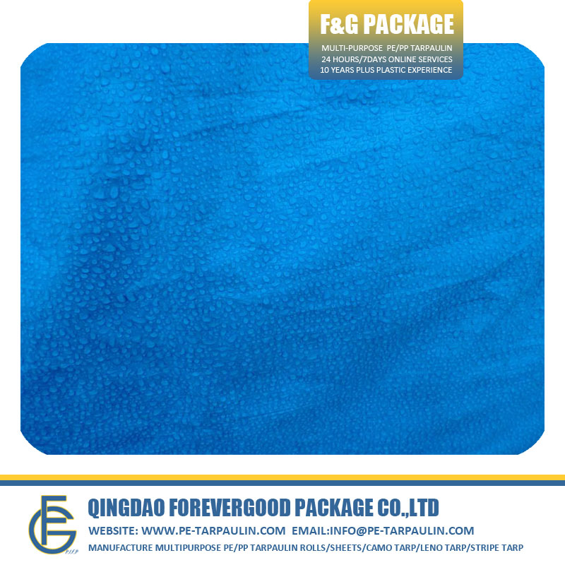 Blue Waterproof Tarpaulin (2).jpg