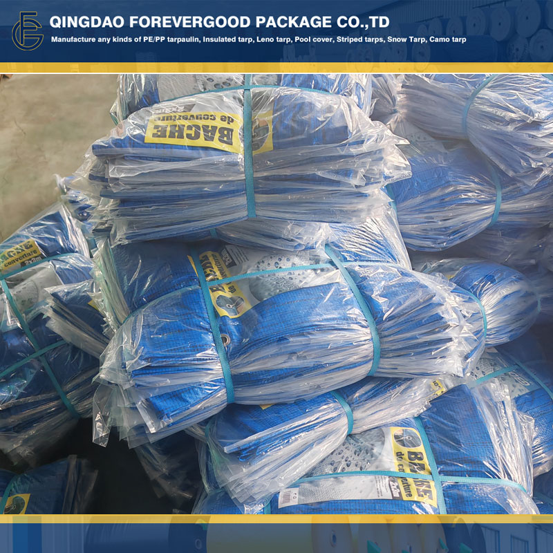 PE Coated Tarpaulin for Covering.jpg