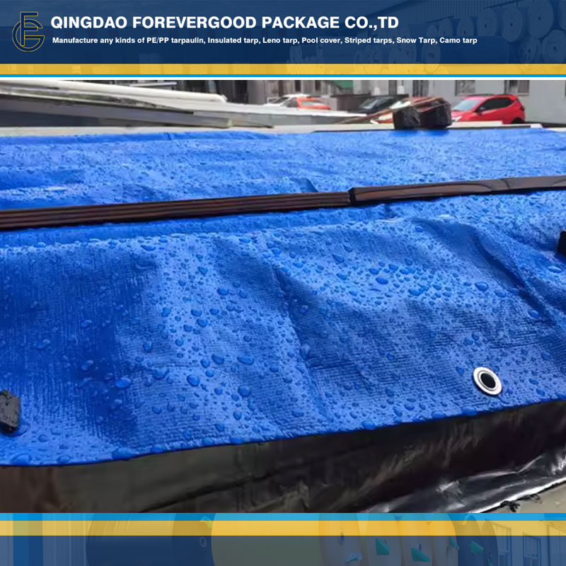 Blue PE Tarpaulin Sheets Cover With Grommets.jpg